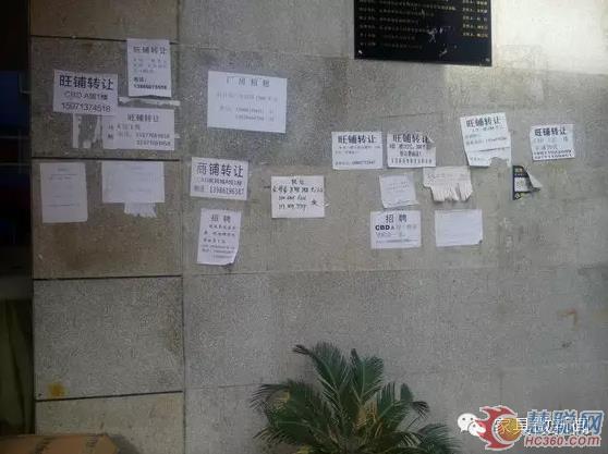 建材标价多虚高 消费者应看重品牌声誉
