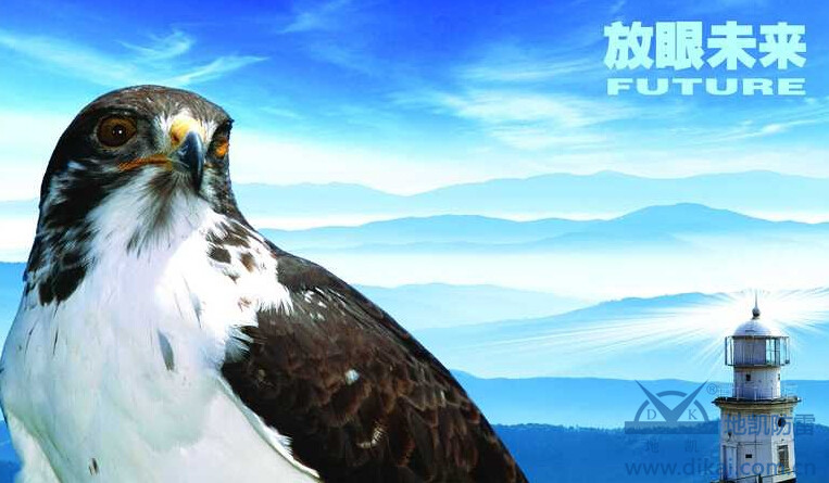 地凯防雷:放宽视野,鉴往知来