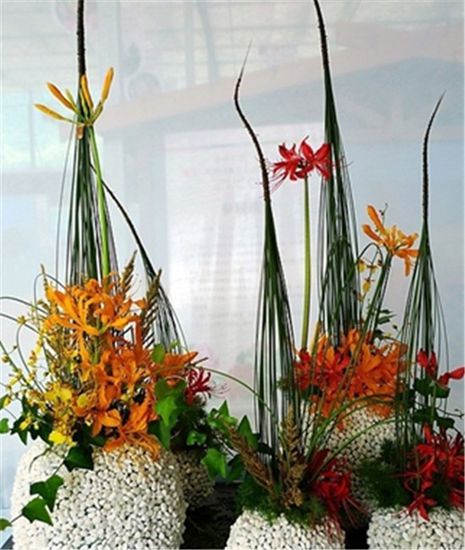 花艺赏