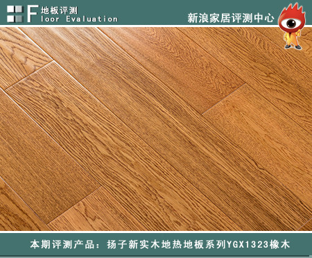 本期评测产品