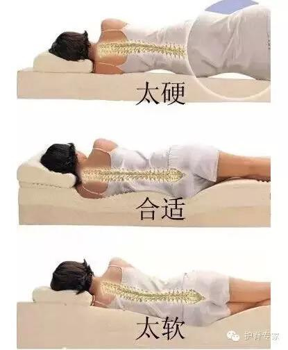 美安娜(美国):床垫有软硬,护脊是核心