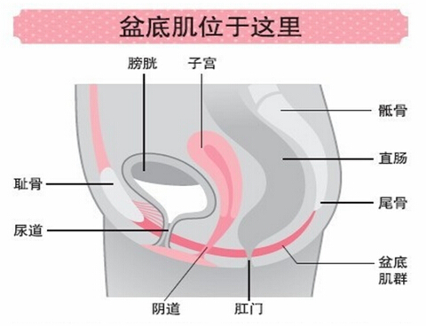 点击图片进入下一页 SKEA——Get一个“游戏”新体位