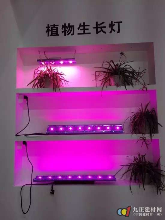 经济产业“寒冬”，看LED行业大佬如何各显神通