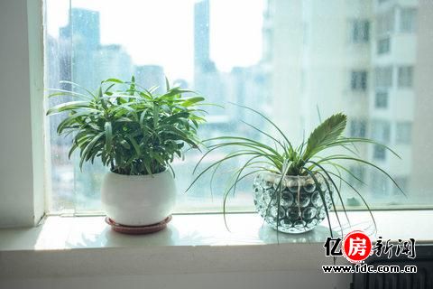 索菲莉尔智能床来袭,年轻的你也需要一张