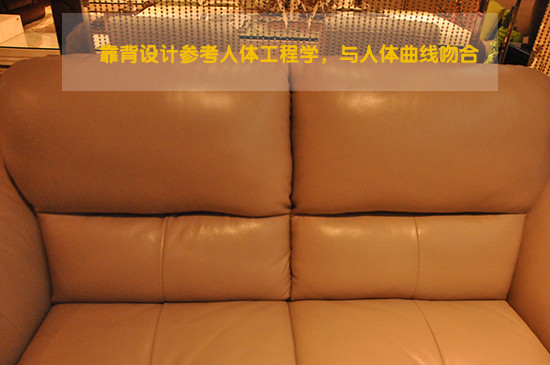 靠背参考工程力学设计