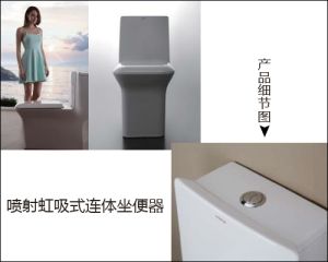 箭牌卫浴韵.格雅系列喷射虹吸式连体坐便器AB1170 箭牌卫浴韵.格雅系列喷射虹吸式连体坐便器AB1170