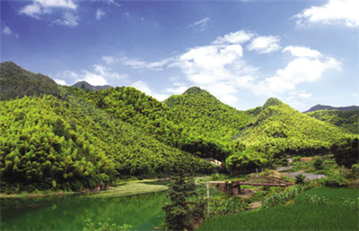 Duang 植树节来啦!看如何让植树少些形式多些效果