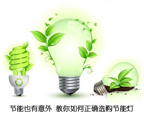 节能也有意外 教你如何正确选购节能灯