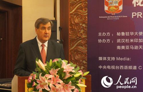 秘鲁驻华公使衔参赞胡安·米盖尔·米兰达先生致辞