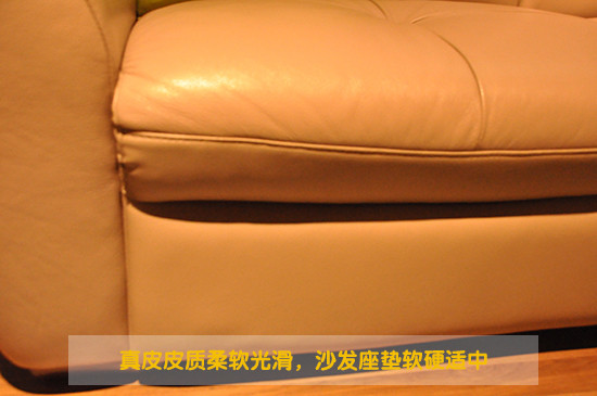 真皮皮质柔软光滑
