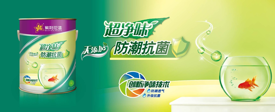 健康环保 紫荆花漆让家更美好