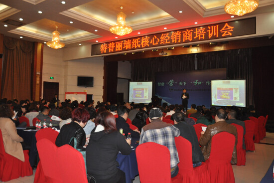 图为特普丽墙纸核心经销商培训会现场