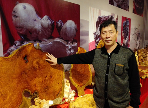 孟连祥和木业有限公司总经理王锡强正在给来宾介绍红木瘿子木 孟连祥和木业有限公司总经理王锡强正在给来宾介绍红木瘿子木