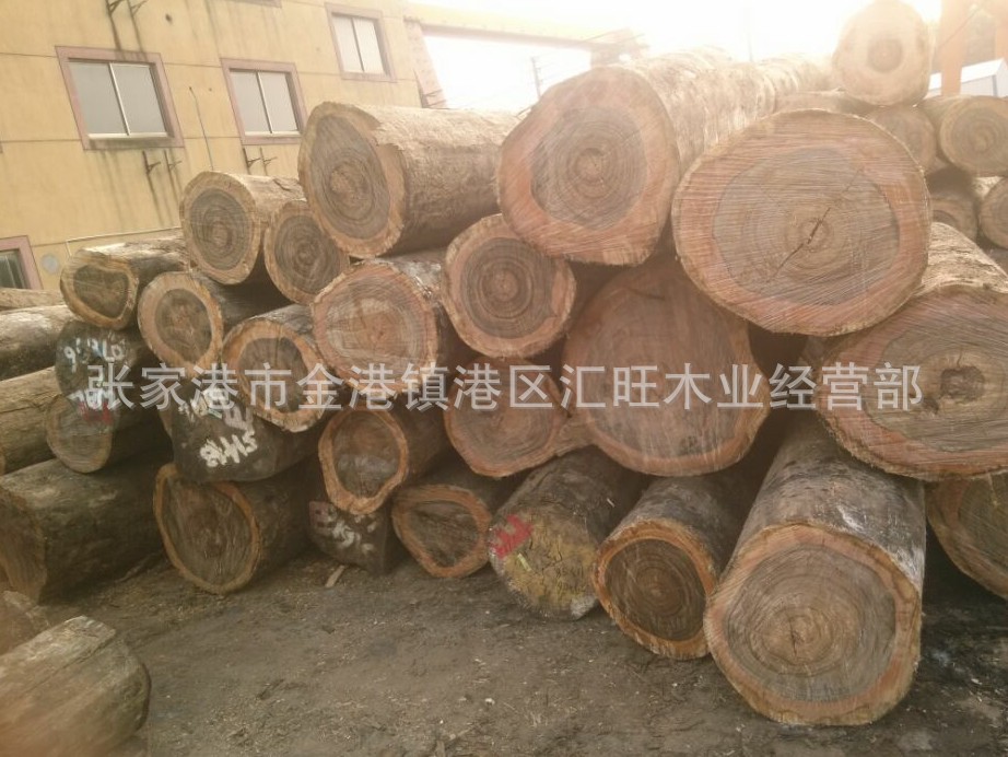 大量批发 优质实木原木 进口大径黑胡桃木 家具木材价格实惠
