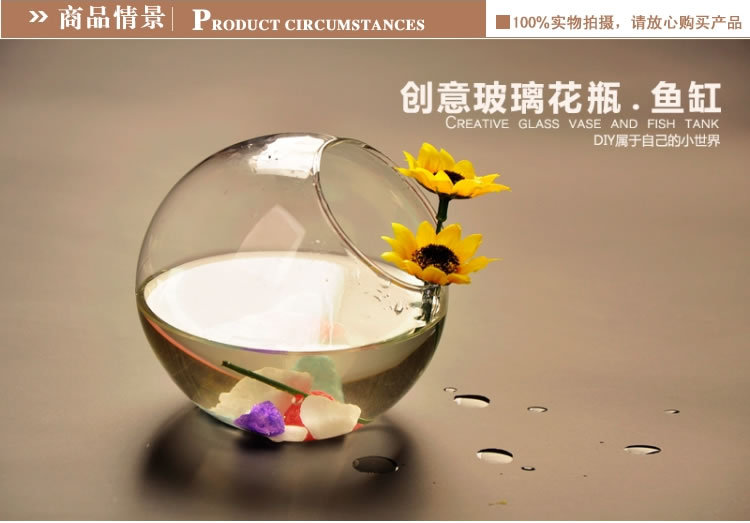 透茗清轩创意斜开口透明玻璃花瓶鱼缸水培花器现代简约家居饰品