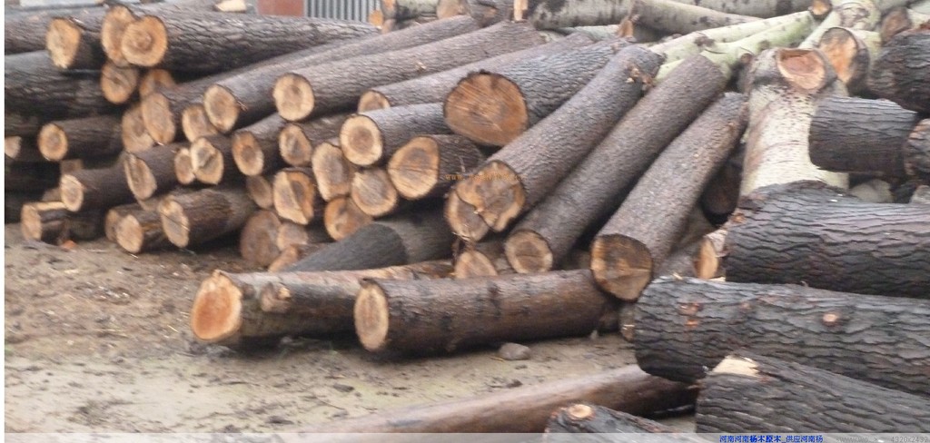 板材行业价格 家具木材价格 品质保证 放心购买